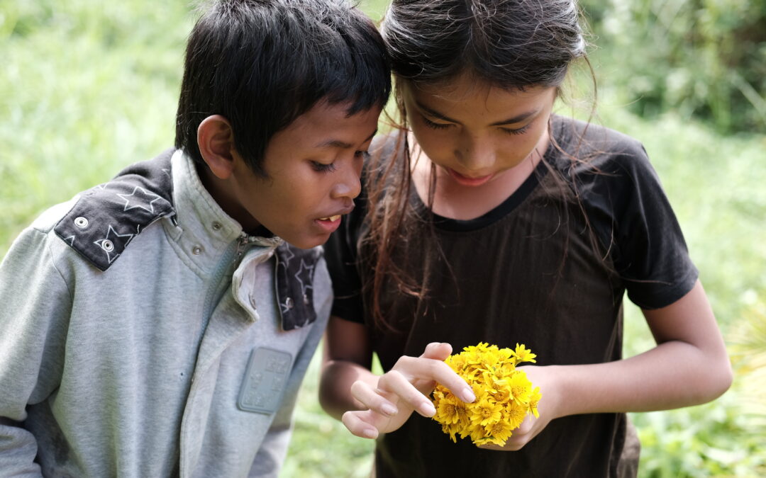 2022 Annual Report: Disciples Flowering in Communities Worldwide
